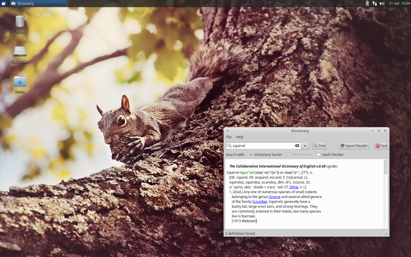 The Xfce dictionary application makes it fast and easy to look up words online.